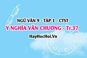 Soạn bài Ý nghĩa Văn Chương trang 37 Ngữ Văn lớp 9 tập 1 Chân trời sáng tạo